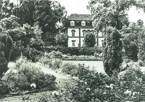 Staudenrabatten um 1960 (Archiv von Grone)