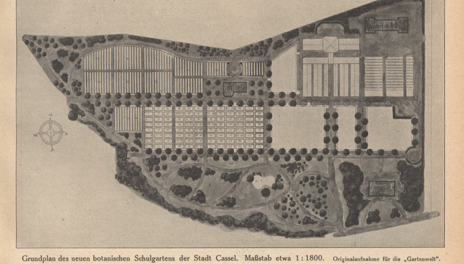 Entwurf 1914 Stadtgartendirektor Engeln