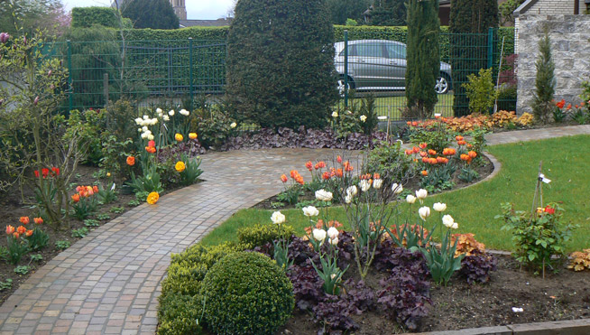 Tulpen in weiß, orange und gelb.