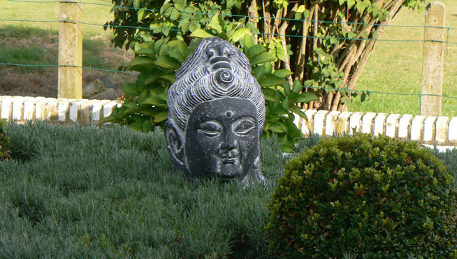 Buddhakopf im Lavendel