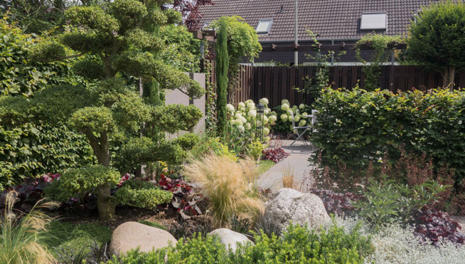 Bonsai, Gräser, Findlinge