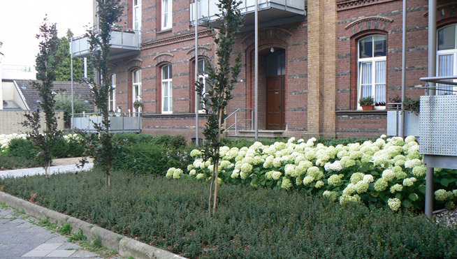 Altes Gymnasium wurde zur Wohnresidenz