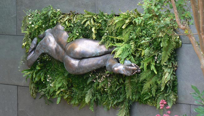 The Australian Garden
