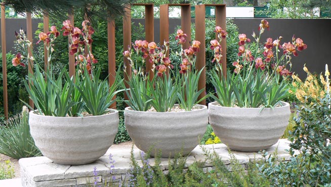 Chelsea Flower Show 2010