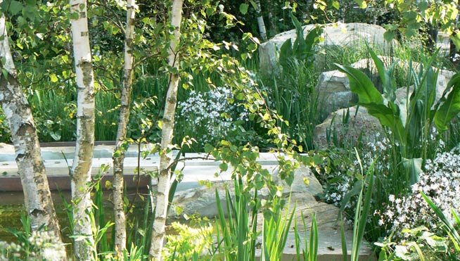 Jihae Hwang's DMZ Forbidden Garden